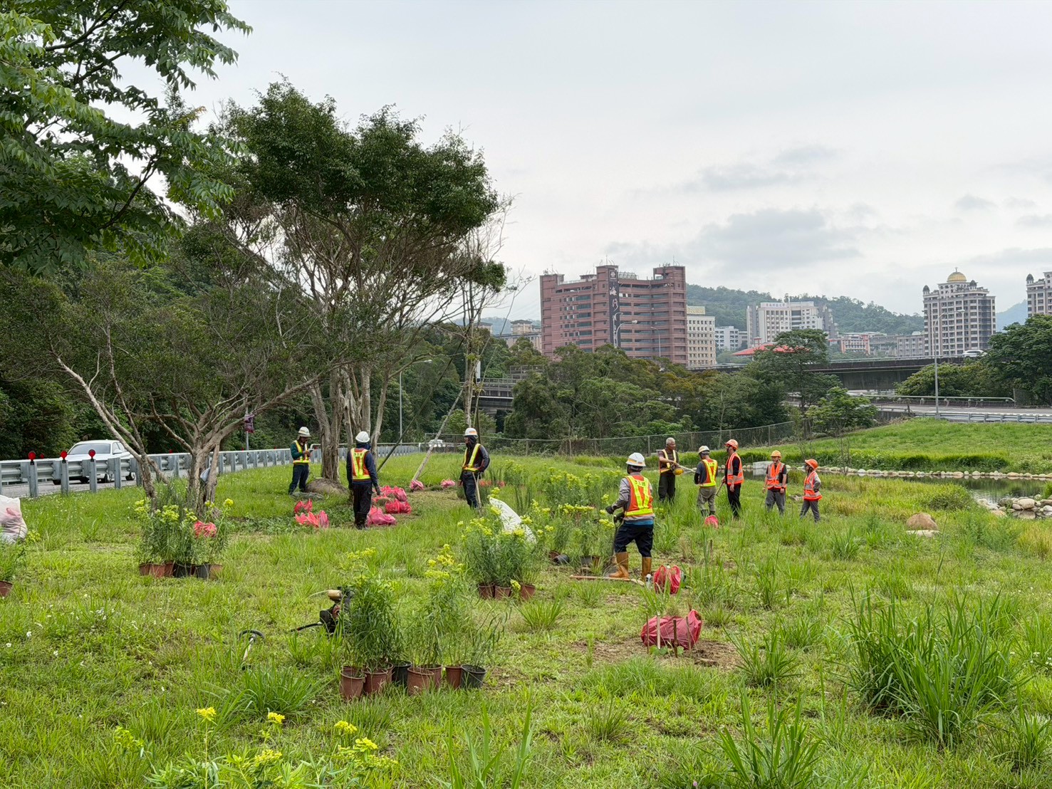 以百花草毯概念綠化木柵交流道綠化