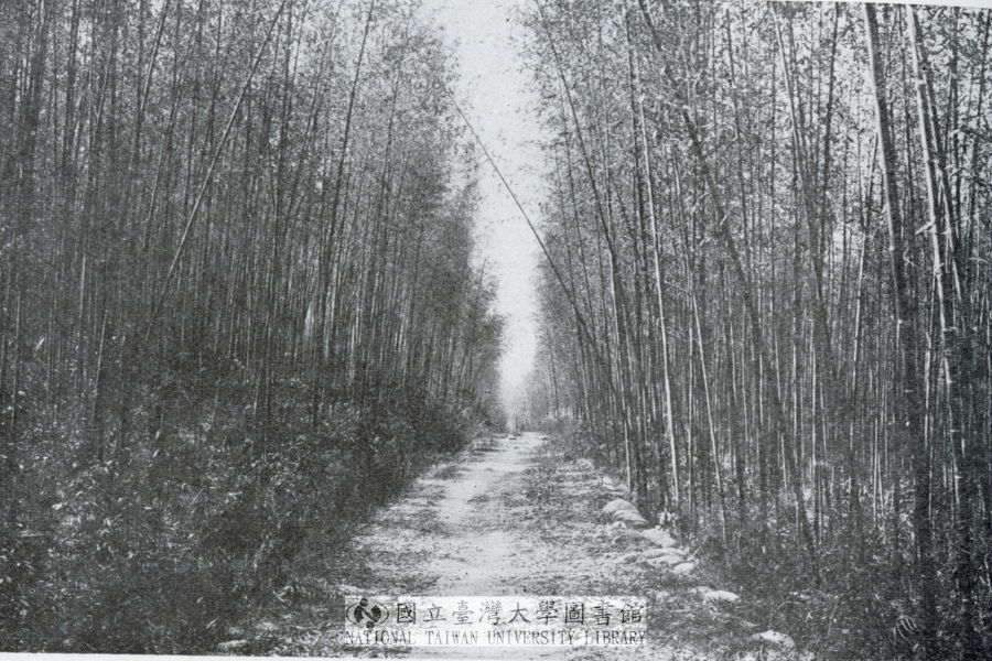 圖片名稱