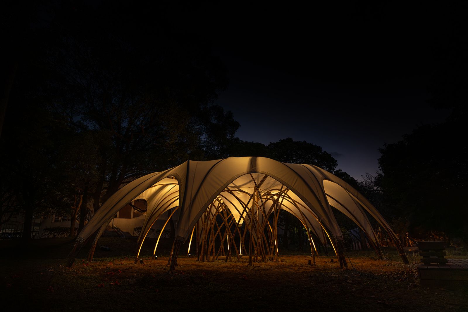 竹穹林 Bamboo Dome