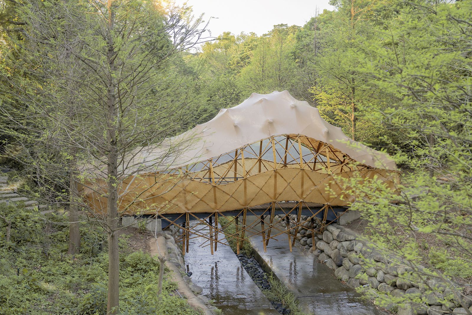 橋繭 Bridge Cocoon