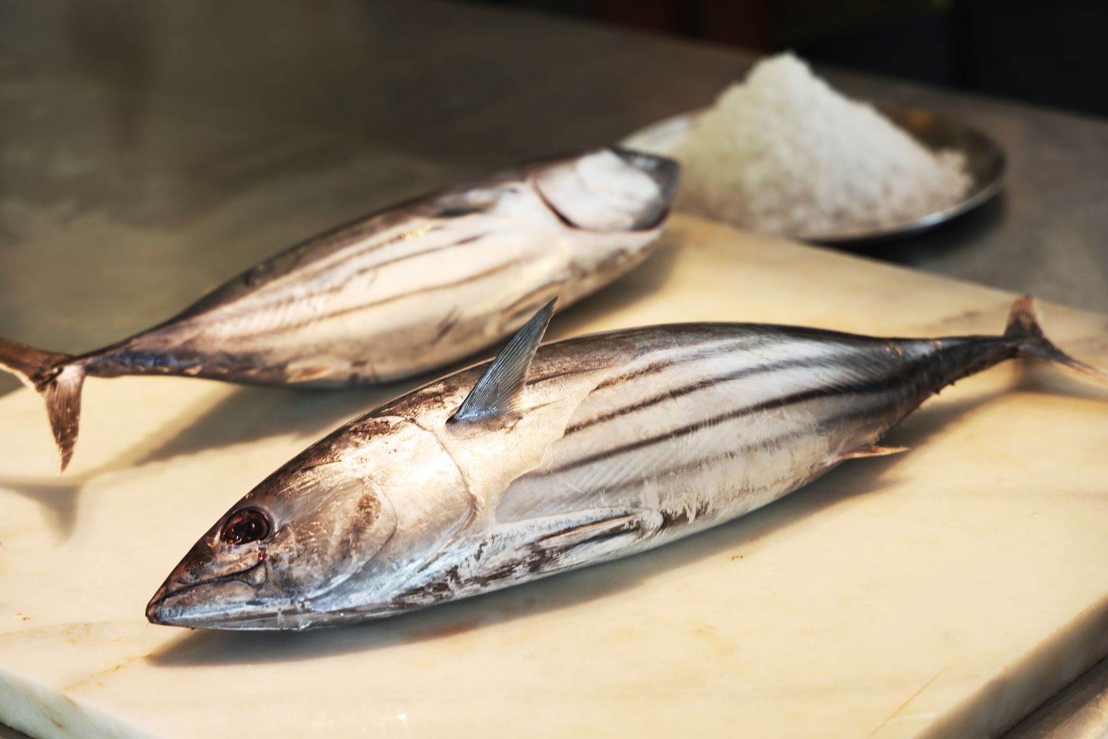 鰹魚